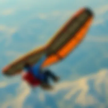 Notable Exploring the Market for Kitewings: A Comprehensive Guide Notable Exploring the Market for Kitewings: A Comprehensive Guide