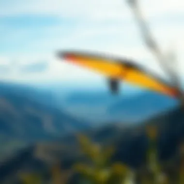 Exploring the Market for Kitewings: A Comprehensive Guide Summary Exploring the Market for Kitewings: A Comprehensive Guide Summary