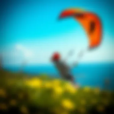 Notable Exploring the Ozone Trainer Kite: A Comprehensive Guide for Enthusiasts Notable Exploring the Ozone Trainer Kite: A Comprehensive Guide for Enthusiasts