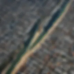 A visual representation of wind patterns over San Francisco