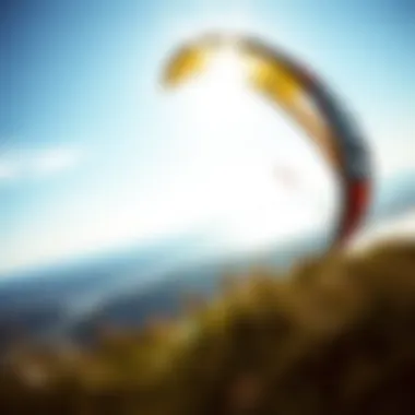 Exploring the World of F1 Kites: A Comprehensive Guide Summary Exploring the World of F1 Kites: A Comprehensive Guide Summary