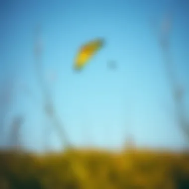 A vibrant land kite soaring against a clear blue sky