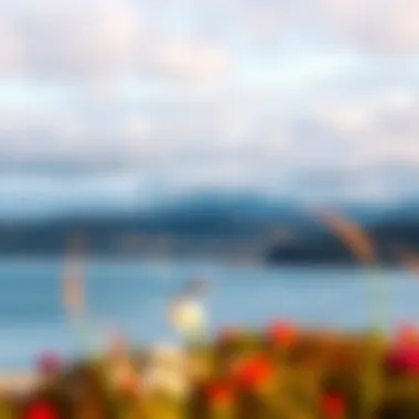 Exploring Tomales Bay: A Comprehensive Guide Summary Exploring Tomales Bay: A Comprehensive Guide Summary
