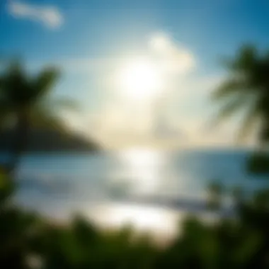 Exploring Travel Opportunities in Saipan Summary
