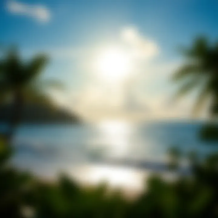 Exploring Travel Opportunities in Saipan Summary
