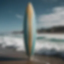 A collection of diverse wind surfboards showcasing unique designs and colors