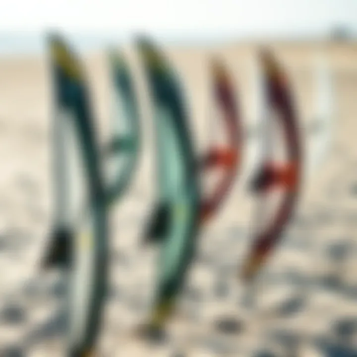 Different types of wing surfers displayed on a sandy beach
