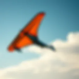 Fanatic Sky Wing 2022: An In-Depth Exploration Introduction