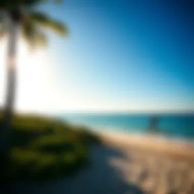 Perfect Spot: Beach Bliss for Paddle Boarders A scenic beach location ideal for hover paddle boarding enthusiasts