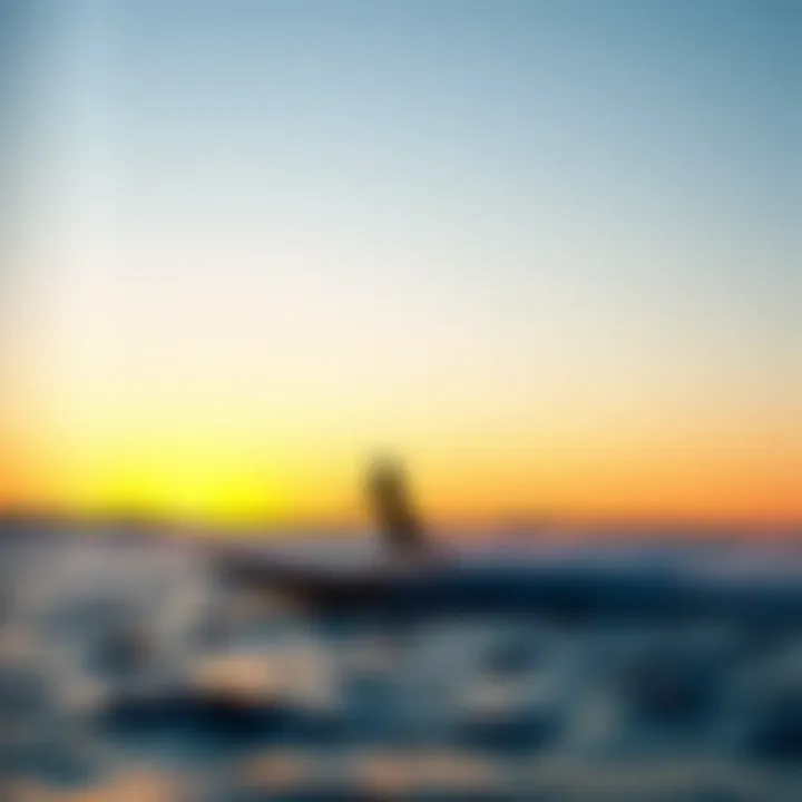 A scenic view of a remote control hydrofoil in action during sunset