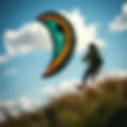 Kite Reviews: In-depth Analysis and Insights for Enthusiasts Introduction