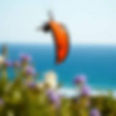 Kite Reviews: In-depth Analysis and Insights for Enthusiasts Summary Kite Reviews: In-depth Analysis and Insights for Enthusiasts Summary