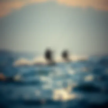 Kiteboarding in Different Temperatures Kiteboarding in various water temperatures