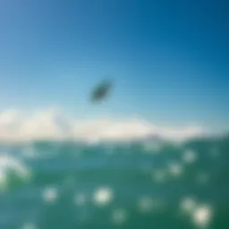 Liquid Force Nebula kite soaring high above the ocean