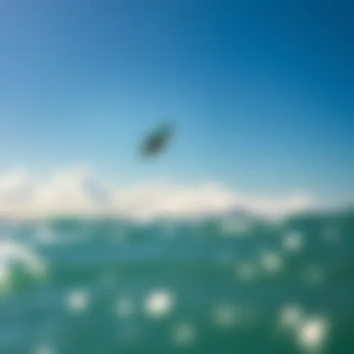 Liquid Force Nebula kite soaring high above the ocean