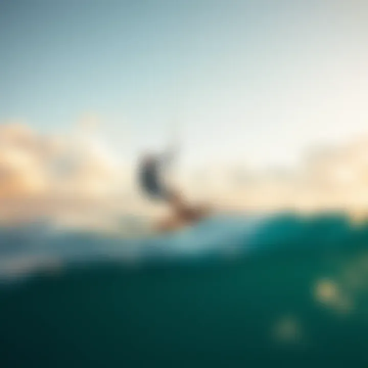 Navigating the Dynamics of Wings Sale in Kiteboarding Summary