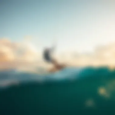 Navigating the Dynamics of Wings Sale in Kiteboarding Summary Navigating the Dynamics of Wings Sale in Kiteboarding Summary