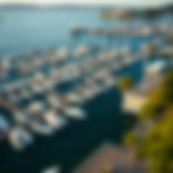 Extensive Dock Facilities at Berkeley Marina An aerial shot of the marina showcasing its extensive dock facilities