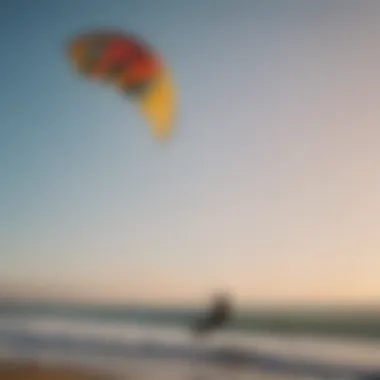 Diverse types of kites arranged in a visually appealing layout