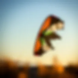 A blank kite showcasing a unique design