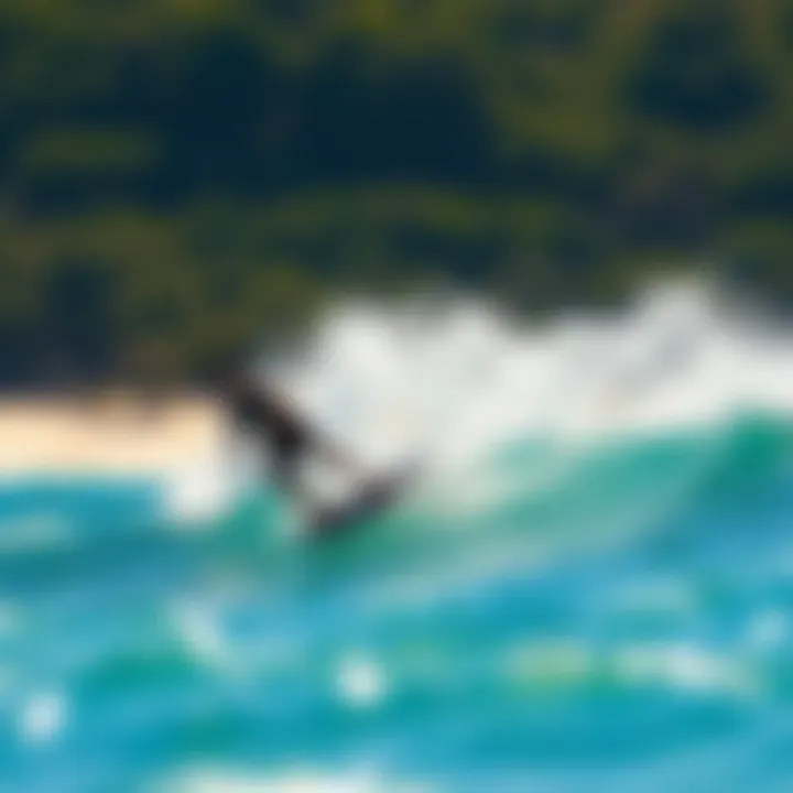Understanding Foil Surf Prices in the Kiteboarding Market Summary Understanding Foil Surf Prices in the Kiteboarding Market Summary
