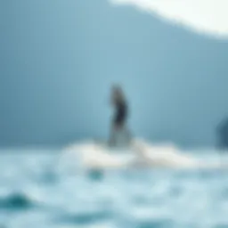 Hydrofoil board gliding above water surface