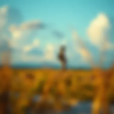 Understanding Weather Channel Radar in Hudson, FL: Insights for Kiteboarding Enthusiasts Summary Understanding Weather Channel Radar in Hudson, FL: Insights for Kiteboarding Enthusiasts Summary