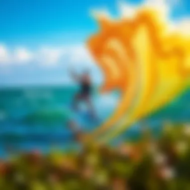 Dynamic wind map visualization for kiteboarding